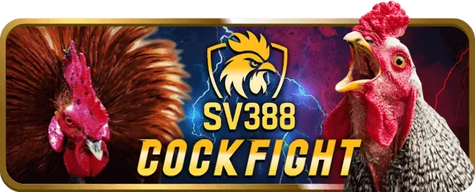 Cá cược Thể Thao nohu77 casino